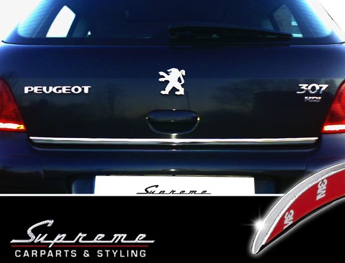 Peugeot 307 lisse - lisse, finition